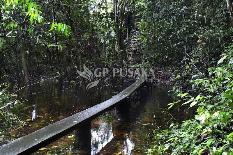 Plank walk in Bukit Sarang