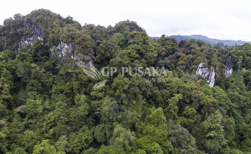 Limestone outcrop Bukit Sarang
